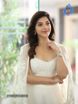 Mehreen Pirzada Photos - 18 of 21