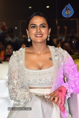 Saindhav Pre Release Event - 3 of 29