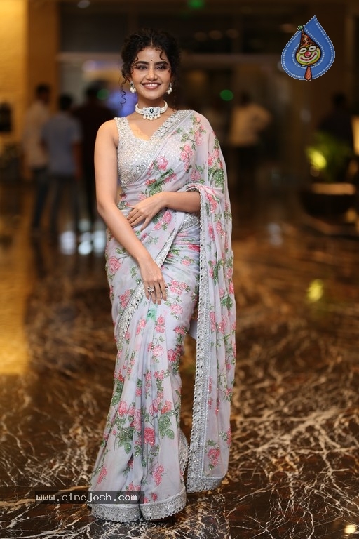 Anupama Parameswaran Photos - 1 / 11 photos