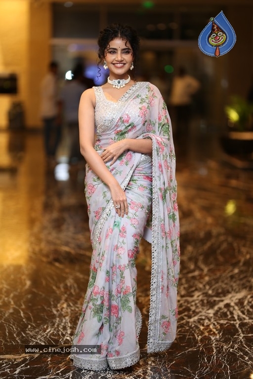 Anupama Parameswaran Photos - 5 / 11 photos