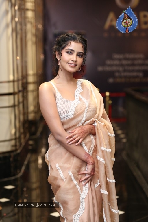 Anupama Parameswaran Photos - 9 / 19 photos