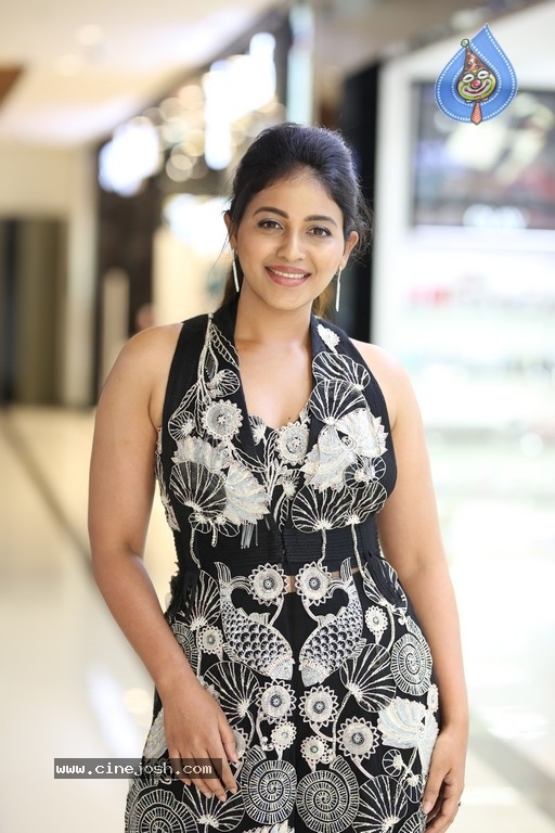 Anjali Photos - 16 / 17 photos