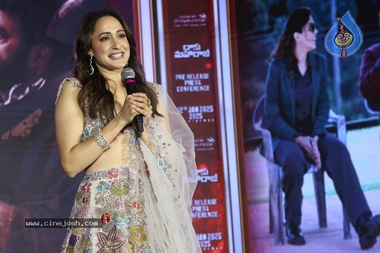 Daaku Maharaaj Pre Release Event - 11 / 27 photos