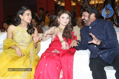 Daaku Maharaaj Pre Release Event - 13 of 27