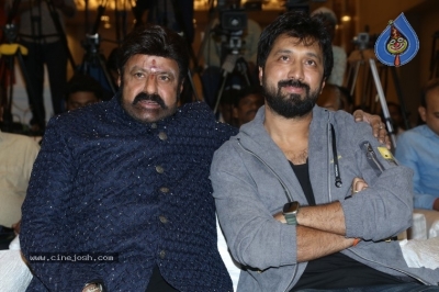 Daaku Maharaaj Pre Release Event - 18 of 27