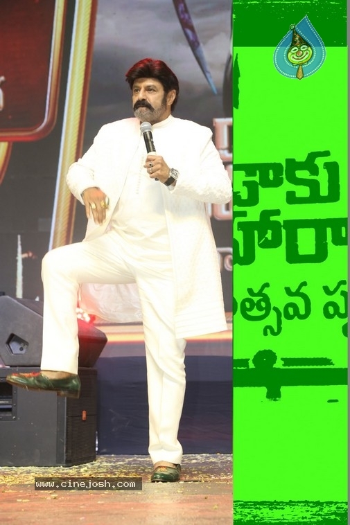 Daaku Maharaj Success Celebrations - 33 / 57 photos