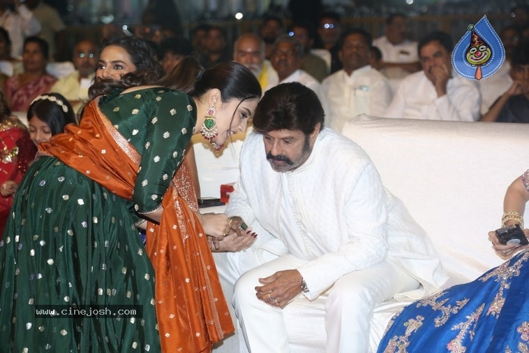 Daaku Maharaj Success Celebrations - 45 / 57 photos