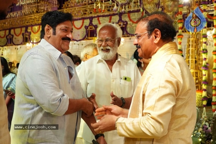 Financier Bangaru Babu Son Wedding Pics - 4 / 20 photos