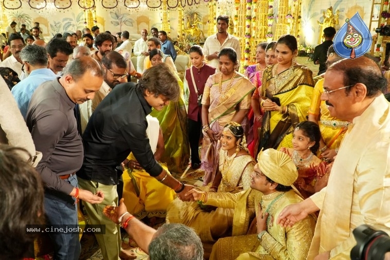 Financier Bangaru Babu Son Wedding Pics - 10 / 20 photos