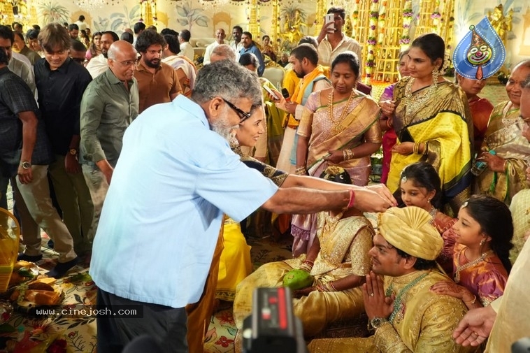 Financier Bangaru Babu Son Wedding Pics - 18 / 20 photos