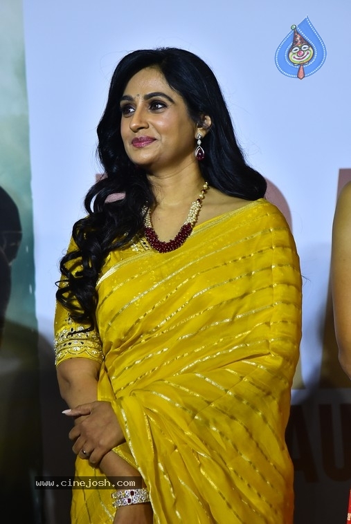 Thammudu Trailer Launch - 14 / 18 photos