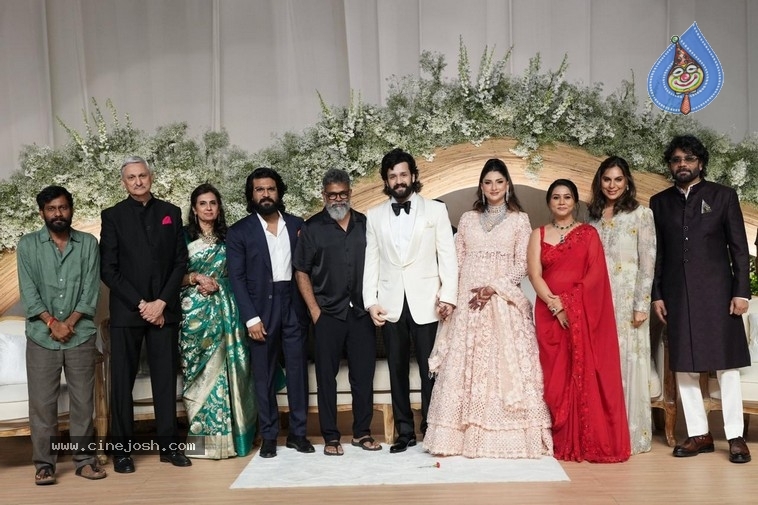 Akhil-Zainab Wedding Reception - 5 / 14 photos