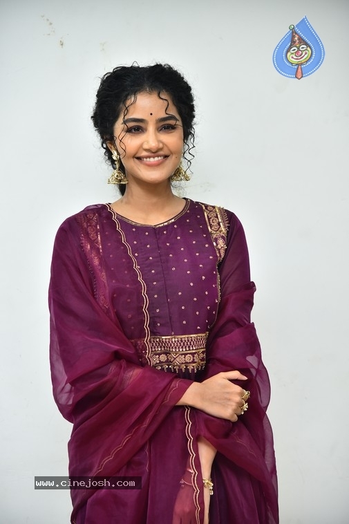 Anupama Parameswaran - 2 / 21 photos
