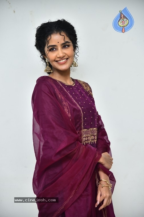 Anupama Parameswaran - 8 / 21 photos