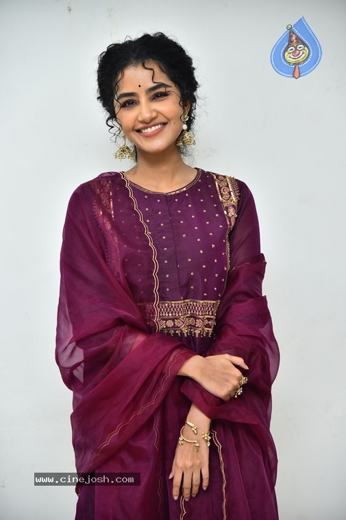 Anupama Parameswaran - 12 / 21 photos