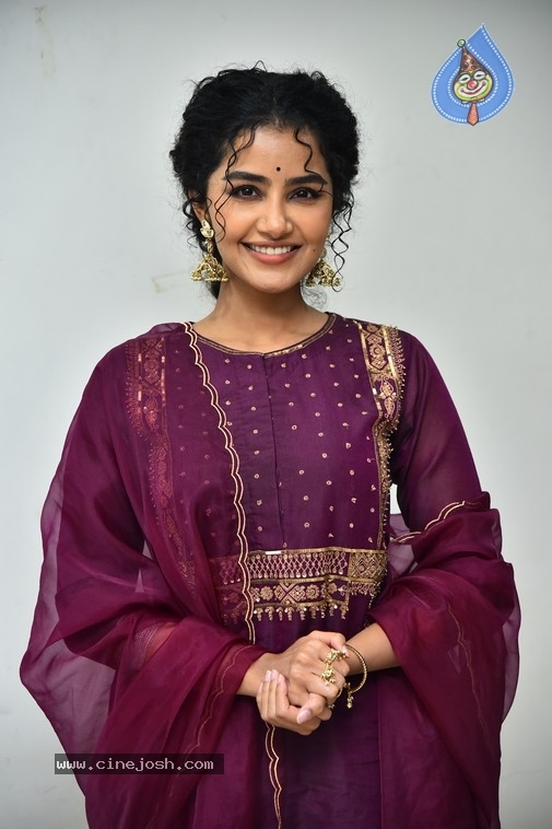 Anupama Parameswaran - 13 / 21 photos