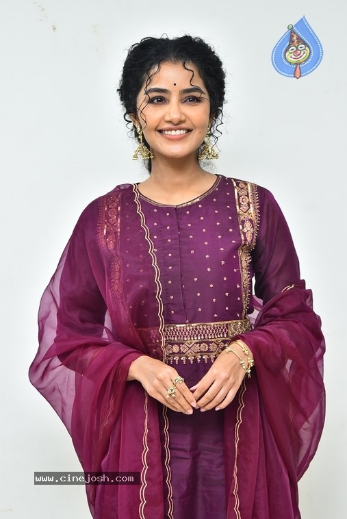 Anupama Parameswaran - 17 / 21 photos