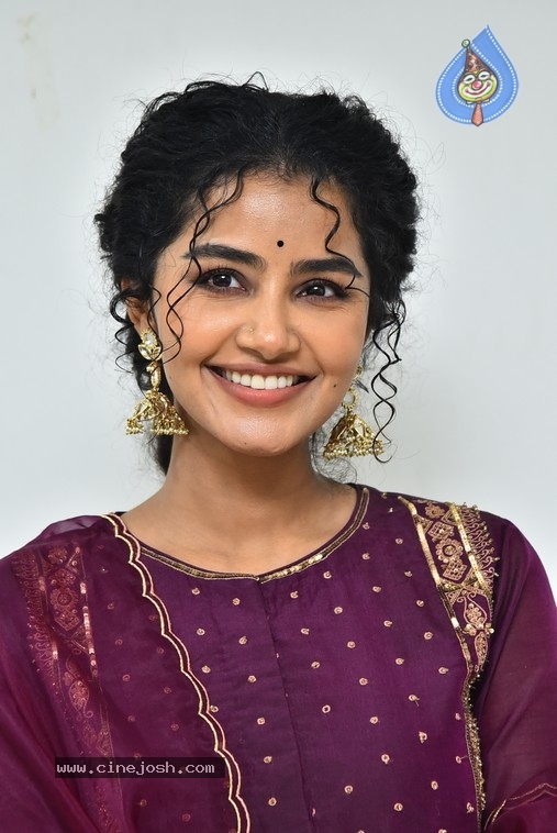 Anupama Parameswaran - 18 / 21 photos