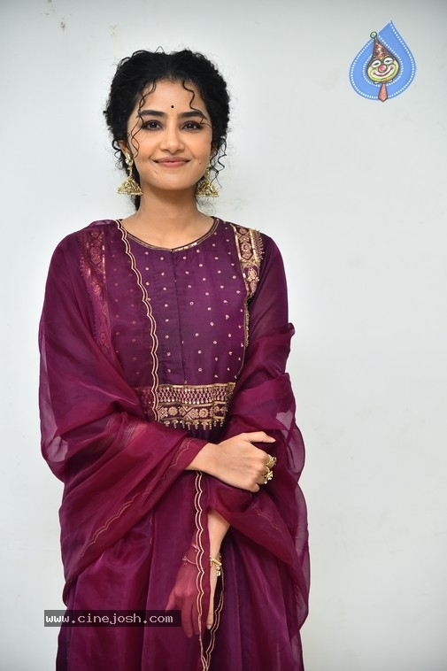 Anupama Parameswaran - 20 / 21 photos