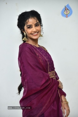 Anupama Parameswaran - 10 of 21