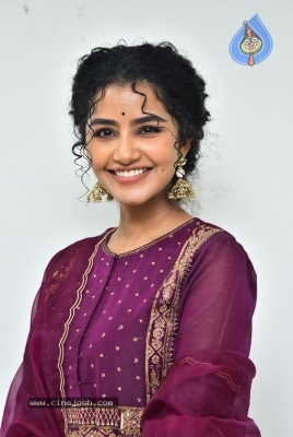 Anupama Parameswaran - 11 of 21