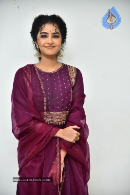 Anupama Parameswaran - 20 of 21