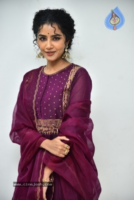 Anupama Parameswaran - 21 of 21