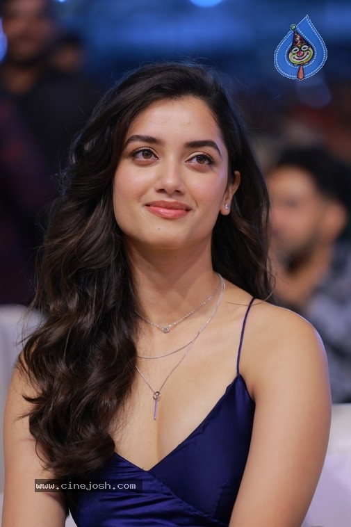 Bhagyashri Borse Photos - 6 / 21 photos