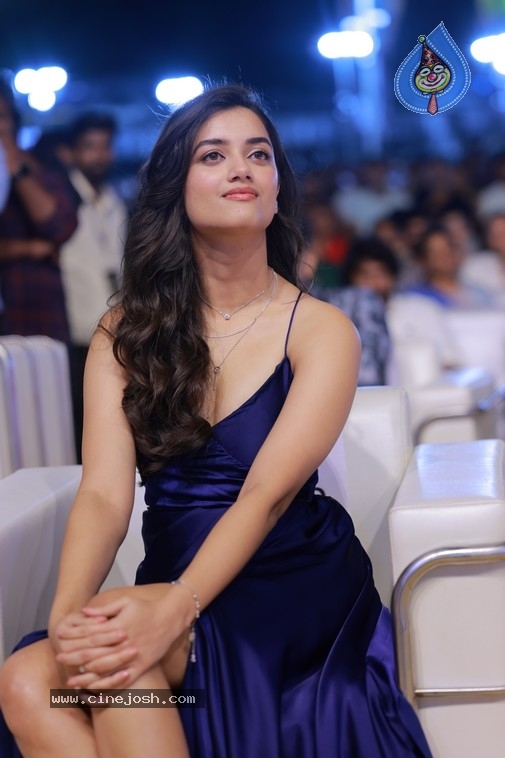 Bhagyashri Borse Photos - 13 / 21 photos