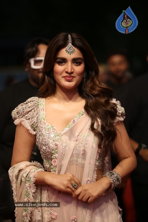 NIdhi Agerwal Photos - 10 / 20 photos