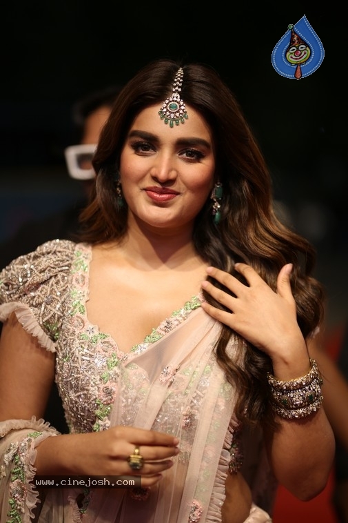 NIdhi Agerwal Photos - 11 / 20 photos