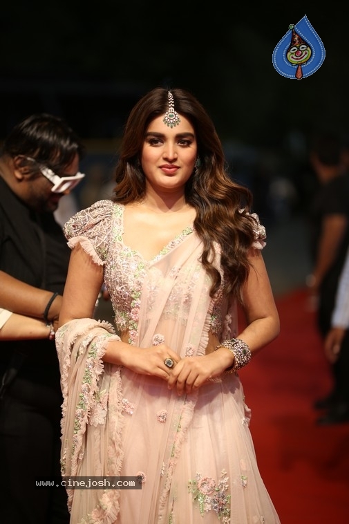 NIdhi Agerwal Photos - 15 / 20 photos