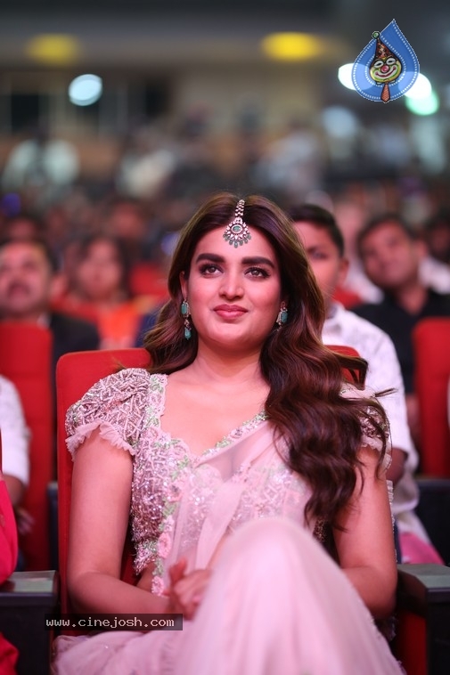 NIdhi Agerwal Photos - 18 / 20 photos