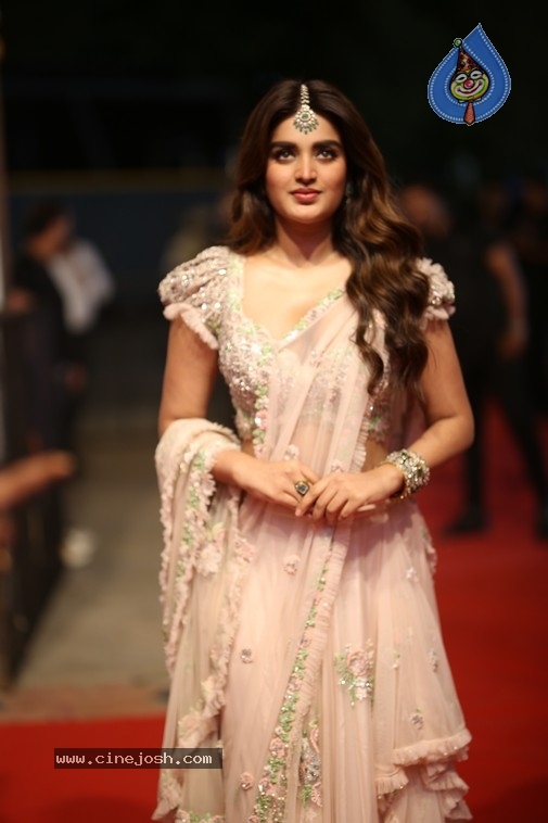 NIdhi Agerwal Photos - 19 / 20 photos