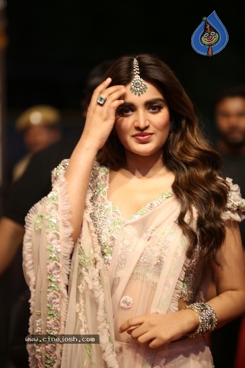 NIdhi Agerwal Photos - 20 / 20 photos