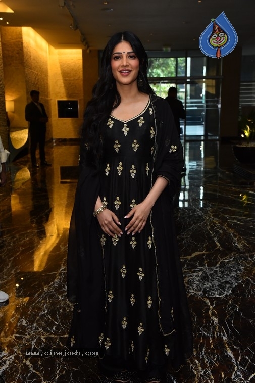 Shruti Haasan Photos - 14 / 21 photos