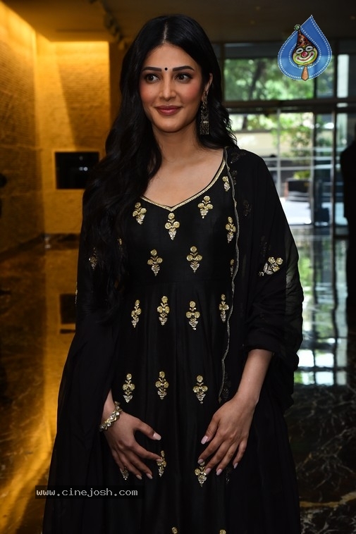 Shruti Haasan Photos - 20 / 21 photos