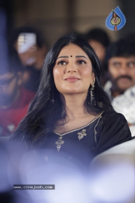 Shruti Haasan Photos - 19 of 21