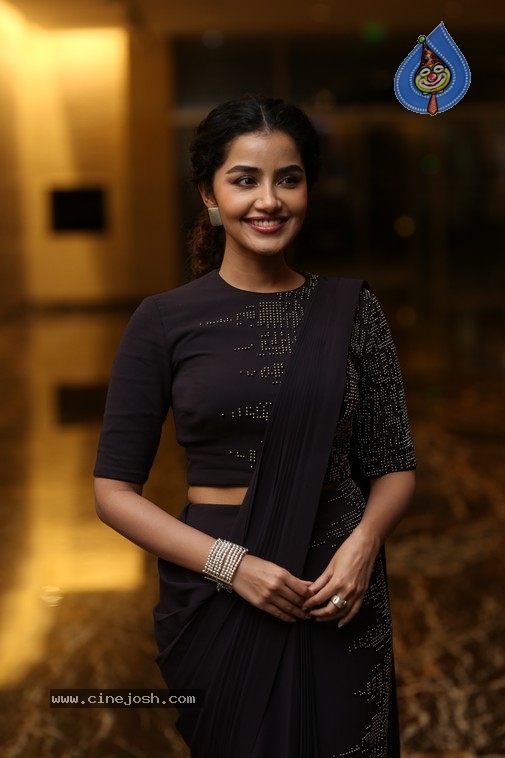 Anupama Parameswaran Photos - 2 / 15 photos