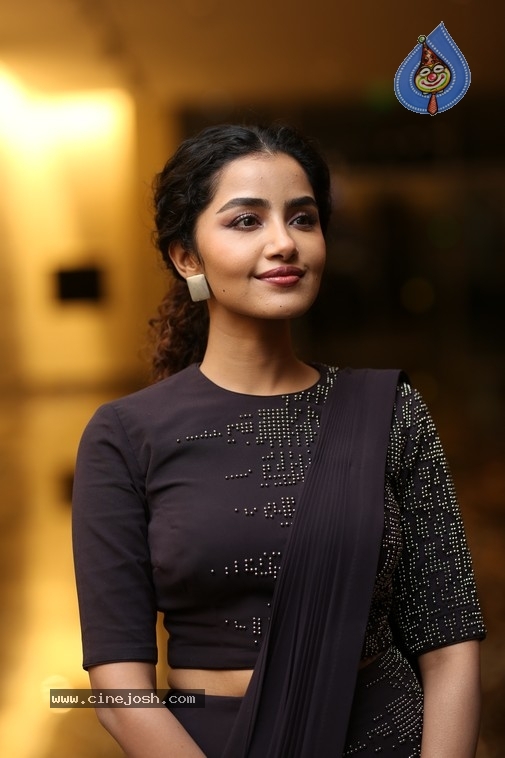 Anupama Parameswaran Photos - 4 / 15 photos