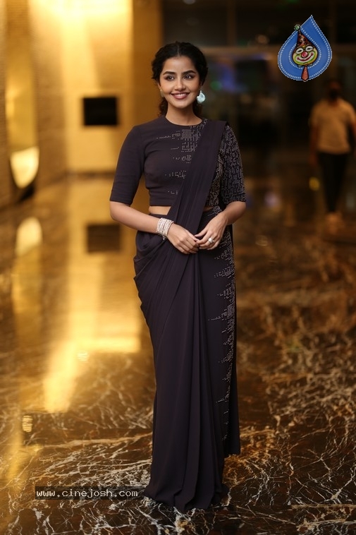 Anupama Parameswaran Photos - 10 / 15 photos