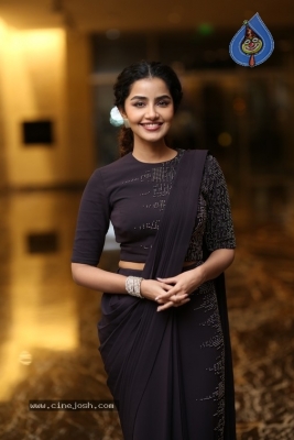 Anupama Parameswaran Photos - 13 of 15