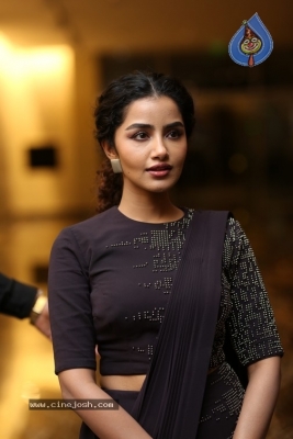 Anupama Parameswaran Photos - 15 of 15