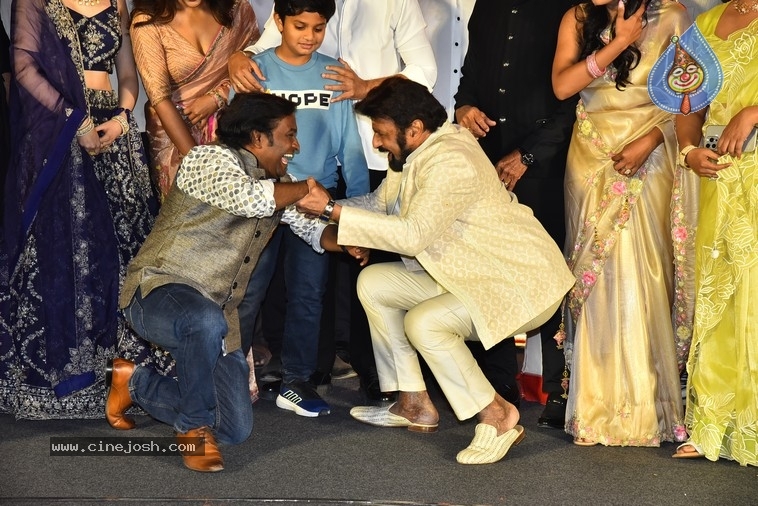 Akhanda 2 Pre Release Event - 33 / 33 photos