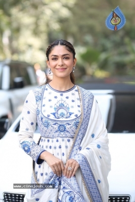 Mrunal Thakur Photos - 6 of 14