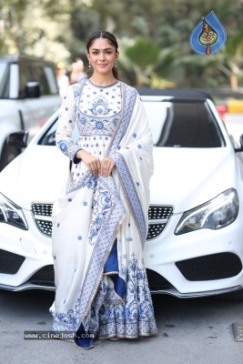 Mrunal Thakur Photos - 8 of 14