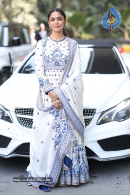 Mrunal Thakur Photos - 12 of 14