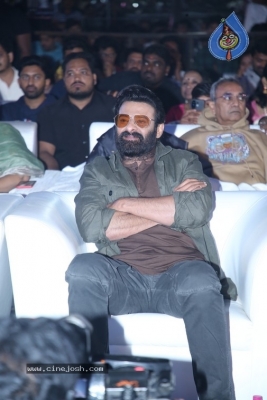 Raja Saab Pre Release Event - 28 of 34