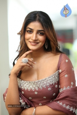 Dimple Hayathi Photos - 2 of 21