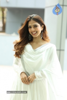 Malavika Mohanan Photos - 12 of 20